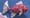 Buy-Side Sentiment Tracker: US Exodus